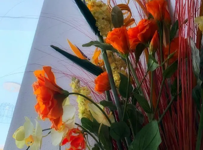 Appartement Le Relais D *